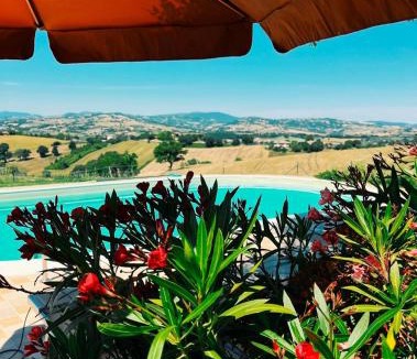 Castelleone di Suasa House | Casa Bozzo, appartement 'Collina'