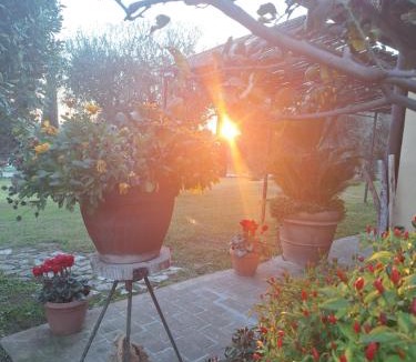Cerveteri Bed & Breakfast | Casa degli Ulivi