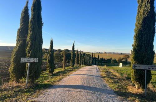 Monteroni d'Arbia Apartment | Casa delle More