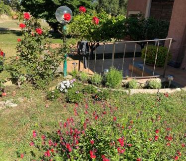 Tarquinia Bed & Breakfast | Casa Diana