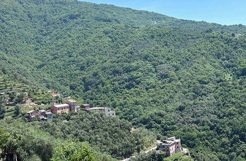 Cogorno House | Casa Fernada, an oasis of relaxation. surrounded by olive trees and just minutes from the sea