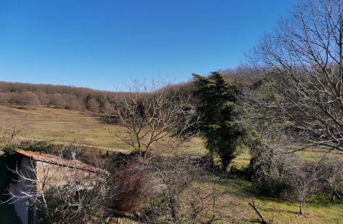 Vetralla Bed & Breakfast | Casa Francigena