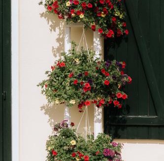 Magnano Bed & Breakfast | Casa Joop-dolce far niente
