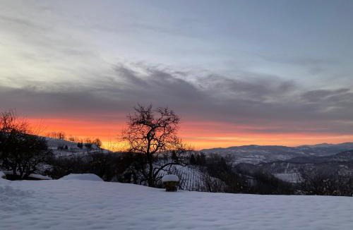 Mango Bed & Breakfast | Casa Langa di Lola