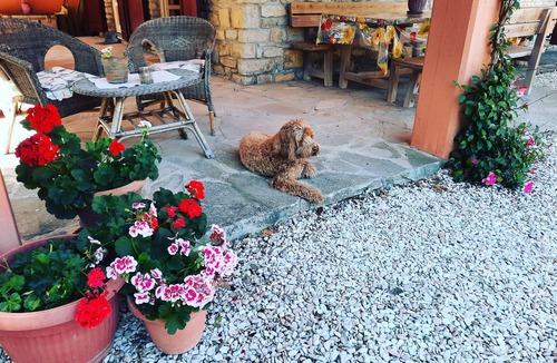 Pietralunga House | Casa LILU- Charming Italian casa with private pool, peace & nature