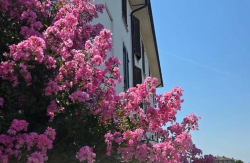 Sairano House | Casa Maddalena