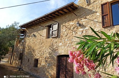 Matigge House | Casa Matigge