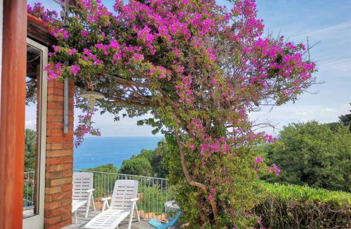 Sant' Andrea House | casa panoramica bouganville