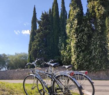 Colà Di Lazise Bed & Breakfast | Casa Pepe