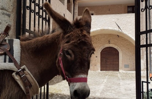Tione degli Abruzzi Apartment | Casa Rondinella: Cozy apartment in an 18th century palazzo