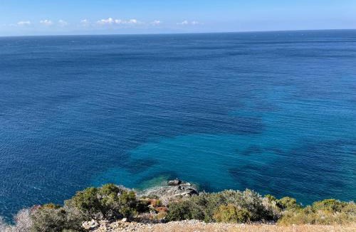 Campo nell'Elba Apartment | Casa Ulisse