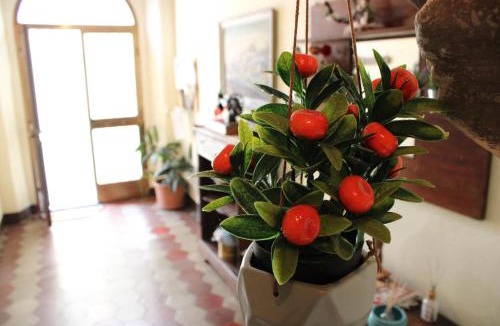 Camporgiano Apartment | Casa vacanze da Marì