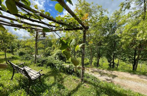 Bossolasco House | Casa Vecchia Bed&Breakfast