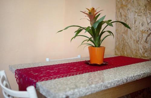 Vallebona Apartment | Casa Vita