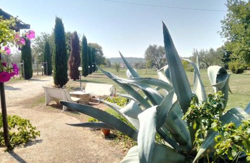 Barbarano Romano Apartment | Casale Campecora