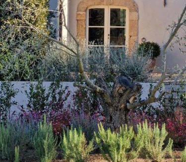 Portoferraio Bed & Breakfast | Casale Caterina Agriresort