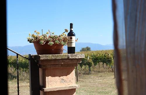 Montefalco Bed & Breakfast | Casale Rialto