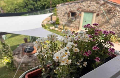 Palestrina House | Cascina 1956