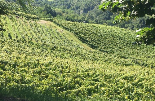Spigno Monferrato House | Cascina Bertolotto Wine Resort