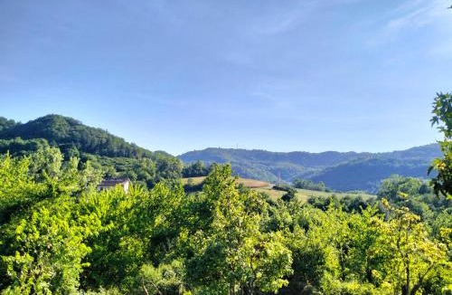 Camerana House | Casetta delle rose