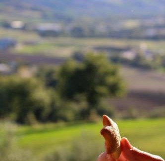 San Ginesio Bed & Breakfast | Casetta Mentuccia