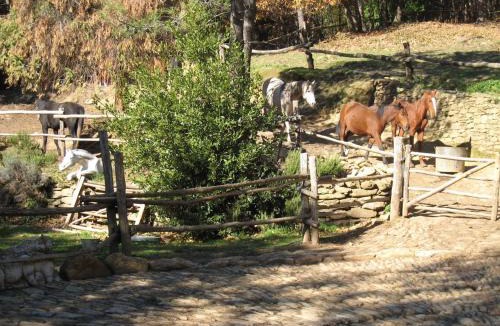 Colonnata Cabin | Centro Trekking a Cavallo Monte Brugiana