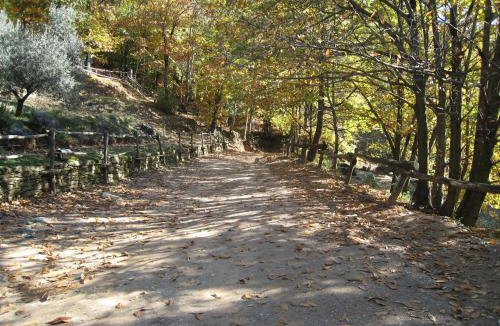 Colonnata Cabin | Centro Trekking a Cavallo Monte Brugiana