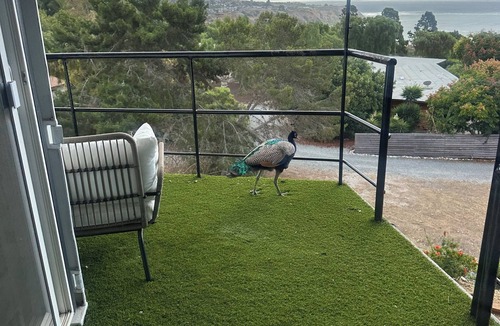 Rancho Palos Verdes House | Charming 1-bedroom guest house with Ocean Views in Los Angeles