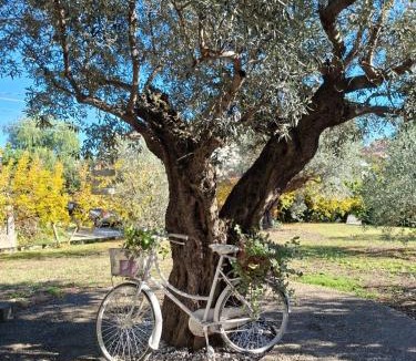 Tollo House | COLLINA FIORITA
