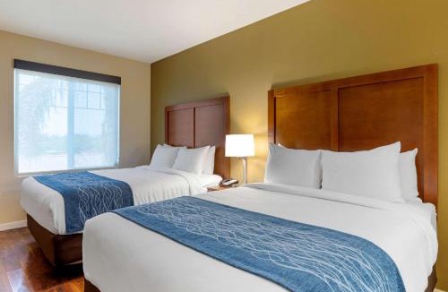 Guasti Hotel | Comfort Inn & Suites Near Ontario Airport