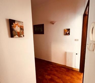 Piazza Apartment | Condominio Ulivi