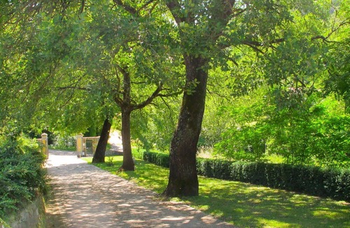 San Giovanni Valdarno Apartment | Cosy apartment for 5 guests with WIFI, pool, TV, pets allowed and parking