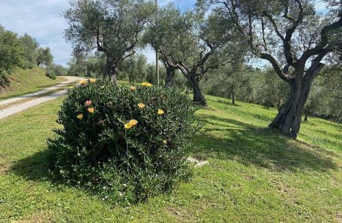 Viterbo Cottage | Cottage independent from the villa provided with kitchenette