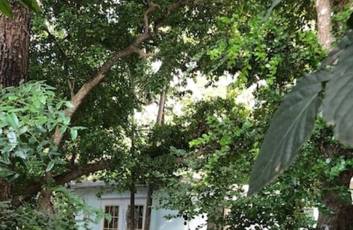Key Largo Villa | Cottage w/waterfront & Kitchen/livingrm · Wht Beach 5 min paddle!SEASIDE COTTAGE Non Smokers