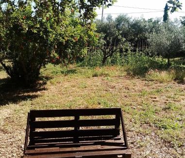 Padua House | Country House tra lago e mare a Sud di Roma