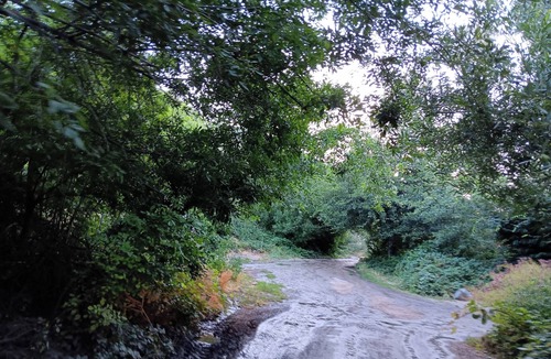 Lytle Creek Bed & Breakfast | "Creekside Retreat: Cozy 2-Bedroom Haven with Scenic Views"