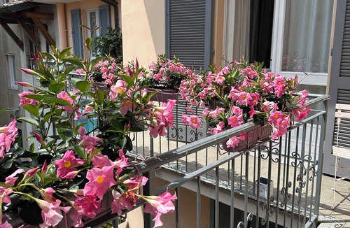 Crema Apartment | D-PLACE APARTMENT PIAZZA DUOMO