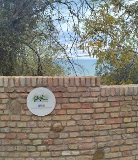 Roseto degli Abruzzi House | DaVi' casa vacanze. Un sogno immerso nel verde !