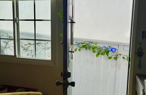 North Redondo House | Delightful 3-bedroom house in Redondo Beach