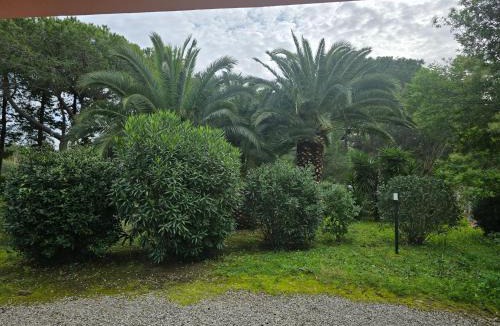 Lido di Capoliveri Apartment | Depandace Lido di capoliveri