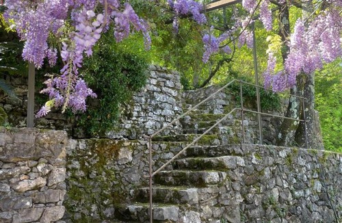 Ameglia Villa | Dimora bosco sul blu