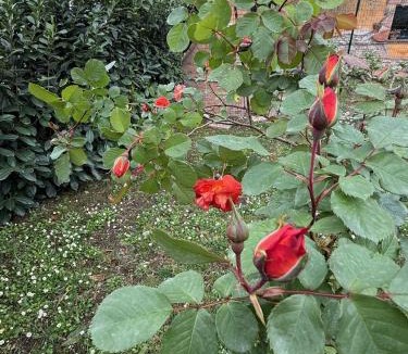 Giove House | Dimora della Jana