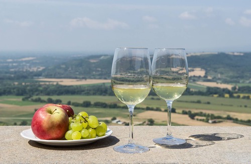 Otricoli Villa | El Olivar - A Magnificent Private Villa in Umbria