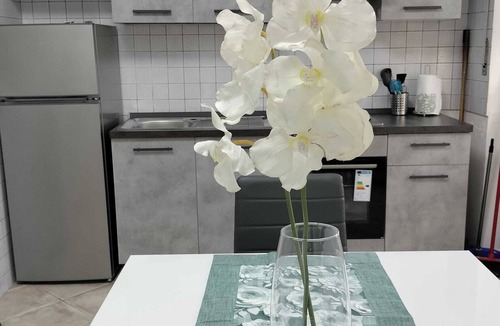 Zona XII Torre Spaccata Apartment | Elegant apartment surrounded by greenery 600 meters from metro C