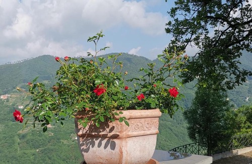 Mezzanego Bed & Breakfast | Elsa House
