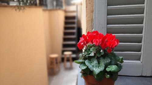 Castelletto Apartment | Experience Genoa-Traditional Home in Castelletto