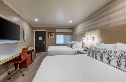 Old Town House | Family and Friends Getaway! Four Sleek Units, Relaxing patio, Gym, Free Parking