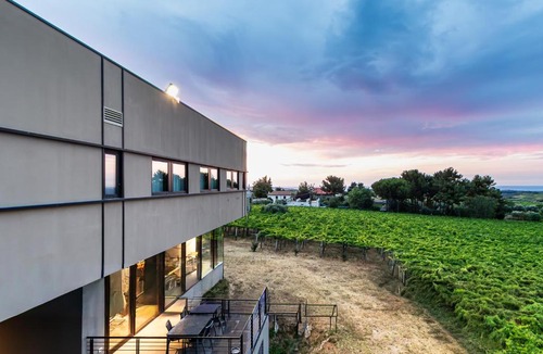 Tollo Bed & Breakfast | Feudo Antico
