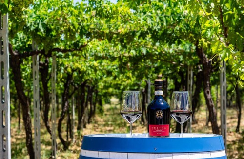 Tollo Bed & Breakfast | Feudo Antico