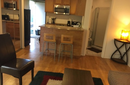 Los Feliz Apartment | Fully Furnished Studio w/garden + private W/D